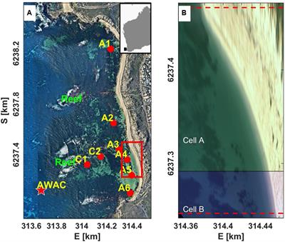 Shoreline Variability at a Reef-Fringed Pocket Beach